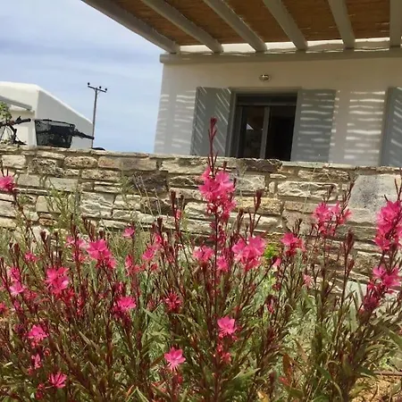 Cycladic House On Agios Spyridonas Beach アンティパロス島